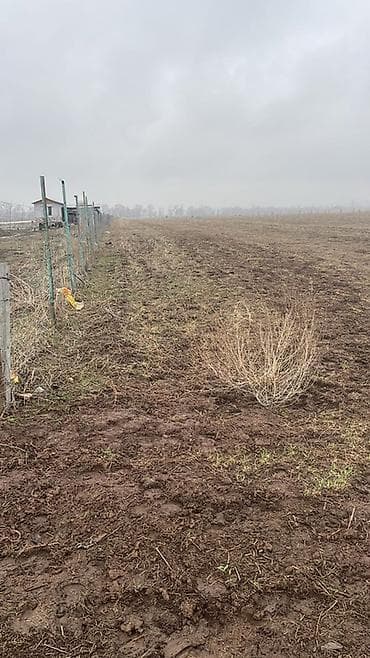 1600 соток, Для сельского хозяйства