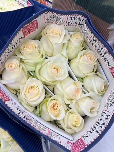 наполнители для подарков: 🤩 Поступление ШИКАРНЫХ роз из Эквадора! 🇪🇨🌹 Бутоны крупные, высокие — 10