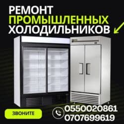 кондиционер на дом: Холодильники, морозильные камеры — 1