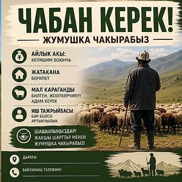 Работа: Требуется Пастух — 1