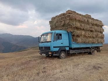 мтз запчасти: Mercedes-Benz : 1997 г., 6 л, Механика, Дизель, Универсал — 2