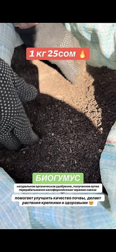 перец комнатный: Удобрение Гумус — 1