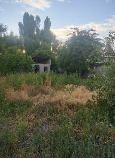 сколько стоит аренда земли сельхозназначения: 8 соток, Для строительства, Красная книга — 1