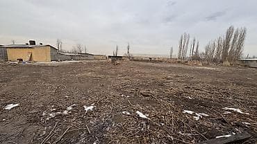 Гараждар: Бизнес үчүн, Электр энергиясы — 10