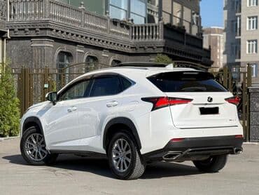 шины r16c: Lexus NX: 2019 г., Автомат, Кроссовер — 7