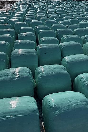 кукурузы: СИЛОС в индивидуальных рулонах Малга алмашам кайрылабергиле! Адрес — 2