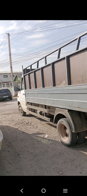 Собаки: Продаю | Коза (самка) — 6