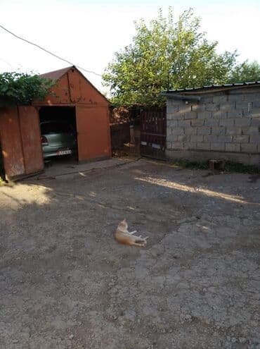 сдаётся квартира дом: Үй, 65 кв. м, 4 бөлмө, Менчик ээси — 29