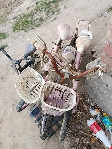 молодежная одежда: Детский велосипед, 2-колесный, 3 - 4 года, Для девочки — 2