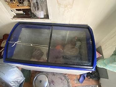 витиринный холодилник: В наличии — 2