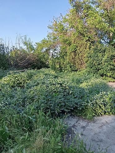ишу участок: 14 соток, Для строительства — 2