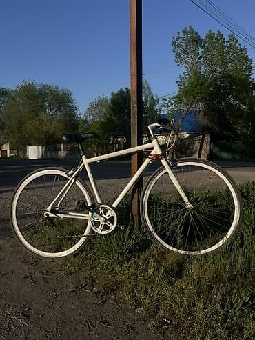 горах: Городской велосипед-фиксер/синглспид - Рама: стальная, классическая — 2