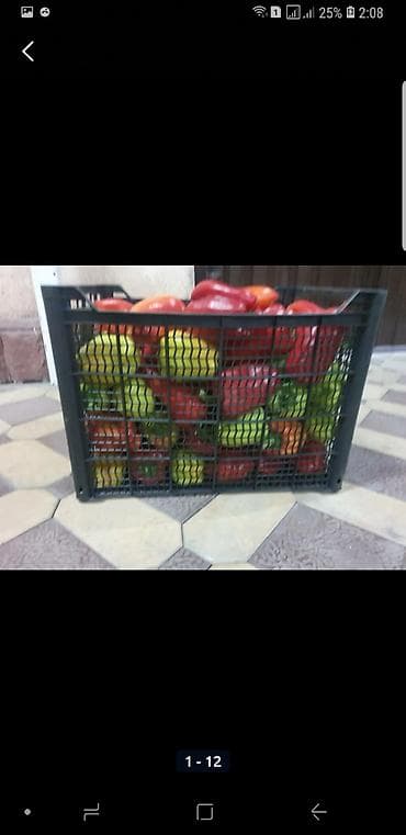 Ящик, Новый