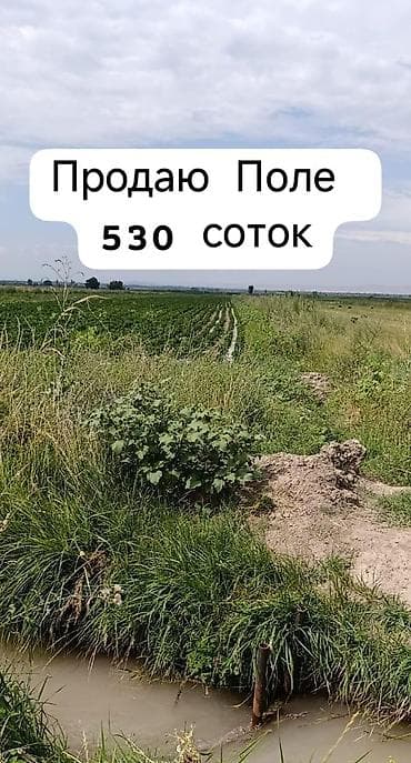 530 соток, Для сельского хозяйства, Красная книга, Тех паспорт at lalafo.kg 530 соток, Для сельского хозяйства, Красная книга, Тех паспорт