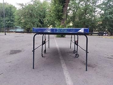 1000 к: 15000 в комплекте есть 2 ракетки1сетка,4шарика — 8