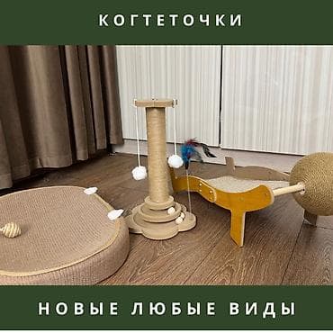 мышык ош: 🐾 Когтеточка для кошек с игрушками — стильная и удобная! 🔋Цены — 1