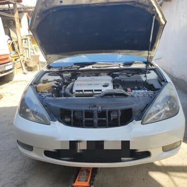 на виндом: Без выезда — 1