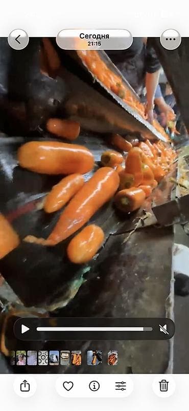 оптовые цены продуктов питания: Морковь Оптом — 2