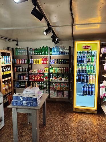 арка дома: Продается дом с действующим магазином в городе Каинда дом 140 — 2