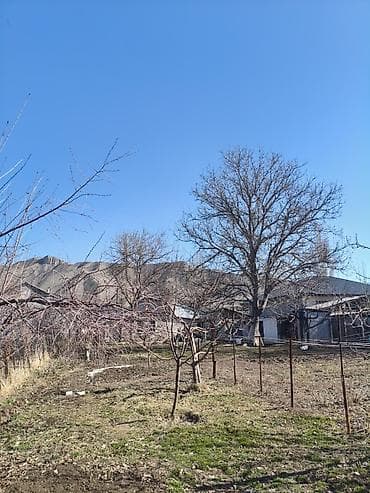 дома участки: 9 соток, Красная книга, Тех паспорт, Договор купли-продажи — 2