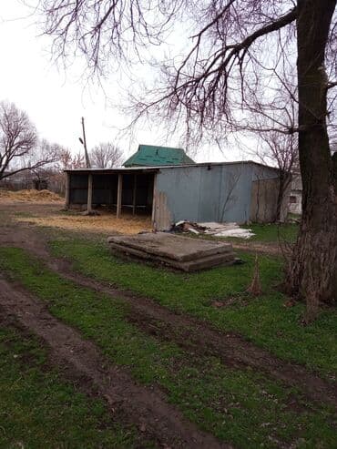 продаю дом шербакова: 77 соток, Электричество, Скважина, Холодная вода — 7