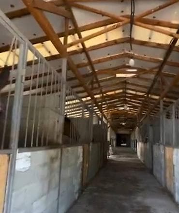 кон завод: Farm КРС, 2400 соток, Действующий, С оборудованием, Электричество — 5