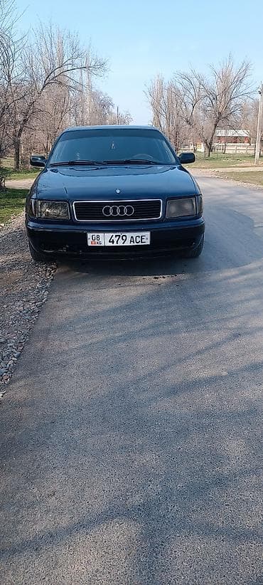 Audi 100: 1993 г., 2.6 л, Ручные, Бензин, Седан