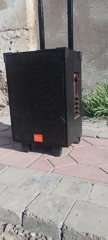 яйцо динамик: Портативная акустическая система S-rol JQ-5088S - Форм-фактор — 2