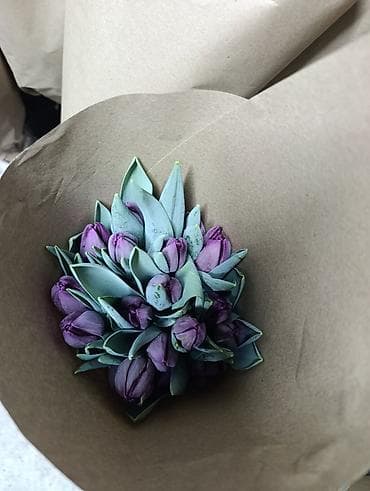 цветок молочай: Букеты из тюльпанов в крафтовой упаковке.за 1 штуку свежие с грядки — 4