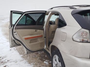 Lexus: Lexus RX: 2005 г., 3.3 л, Кроссовер — 8