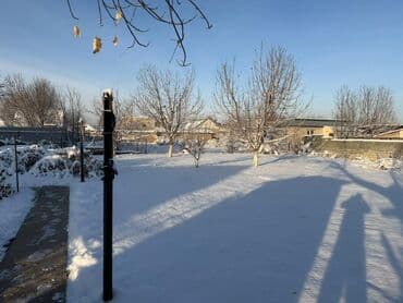 5 соток, Курулуш, Кызыл китеп — 3