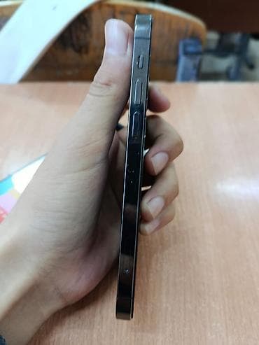 афон 12: IPhone 12 Pro, Графит, Чехол — 2