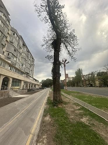 мансара: 3 комнаты, 100 м², Политех Индивидуалка, 7 этаж, Старый ремонт — 1