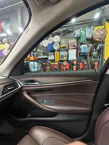 химичиска авто: BMW 5 series: 2019 г., 2 л, Автомат, Бензин, Седан — 8