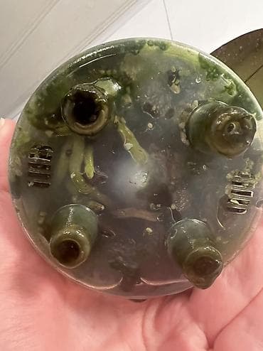 Диффенбахии: Орхидея фаленопсис трилипс Sogo Diamond - Сорт/тип: фаленопсис — 4