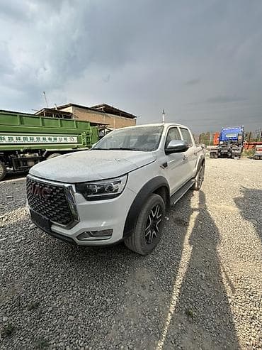wmb e34: JAC : 2024 г., Пикап — 3
