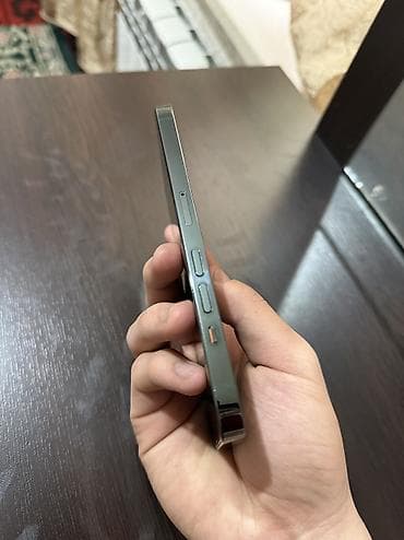 ipnone 13: IPhone 13 Pro — 2