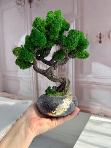 Деревья-бонсай из натурального стабилизированного мха🌳 -это