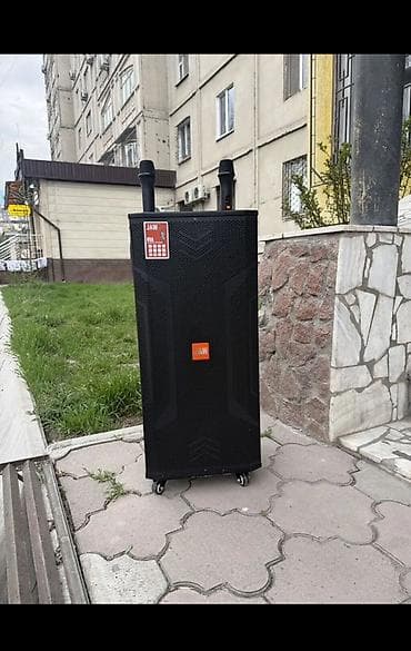 Аренда колонки 999 в сутки эки микрофону менен — 4
