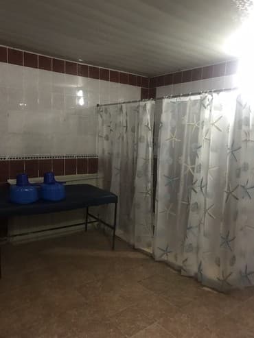 хиджама кровопускание: Сауна. Находимся в центре. Парилка на дровах. Караоке. Пилинг — 2