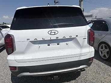199 контур: Hyundai Palisade: 2019 г., 2.2 л, Дизель, Кроссовер — 10