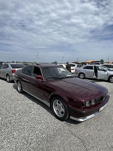 BMW 525: 1994 г., 2.5 л, Механика, Бензин