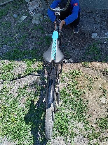 cruzer paramount: BMX велосипед, Б/у — 3