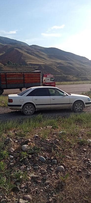 ford taurus: Audi 100: 1991 г., 2 л, Механика, Бензин, Седан — 2