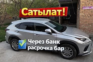 Lexus NX: 2018 г., 2 л, Автомат, Бензин, Кроссовер