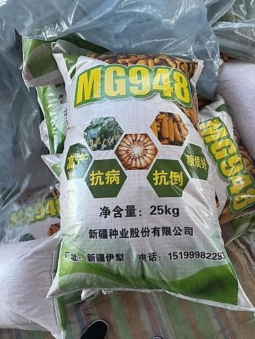 слива фрукт: Кукурузные семена MG948 привозной - Марка/модель: MG948 - Тип — 1