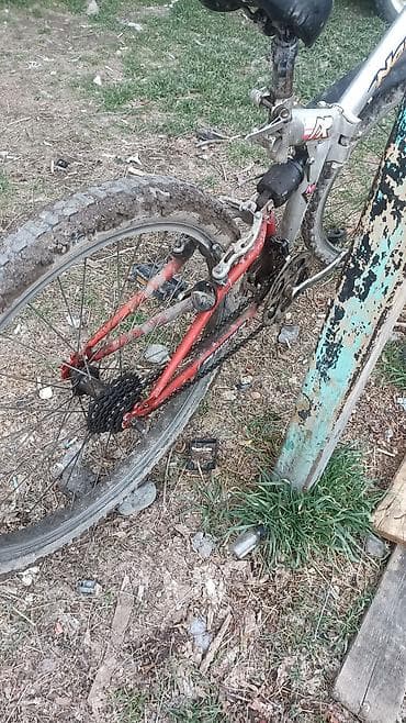 Балдар үчүн велосипеддер: Шаардык велосипед, Велосипед алкагы XS (130 -155 см), Колдонулган — 4