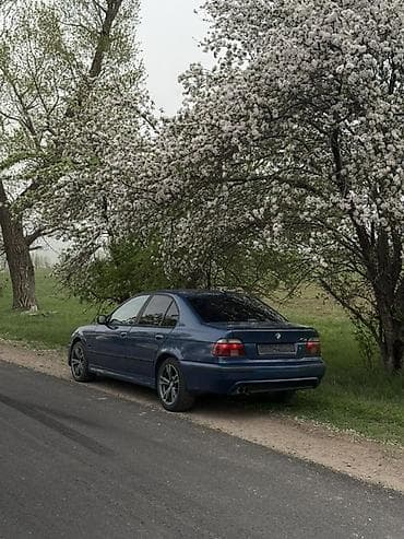 mini cooper s: BMW 5 series: 2001 г., 2.5 л, Автомат, Бензин, Седан — 3