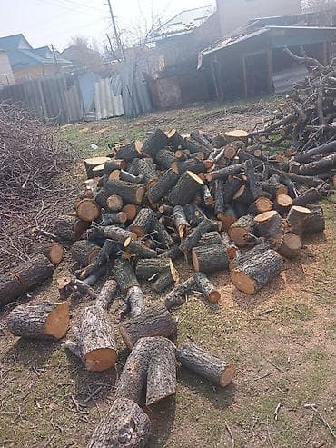 Пожарное оборудование: Дрова — 4