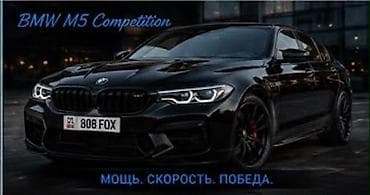 eagle eyes: Именной номер «808 FOX» (KG 01) - Яркая буквенно-цифровая комбинация — 2